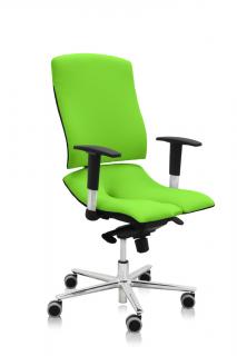 Ergonomická kancelárska stolička Asana Steel Standard  11 farieb Farba čalúnenia: Látka Atlantic Zelená 68099, Opierky rúk: s opierkami