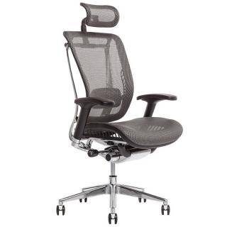 Ergonomická kancelárska stolička OfficePro Lacerta Farba: antracitová