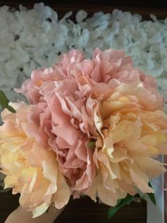 Kvety -kytička Pivonky