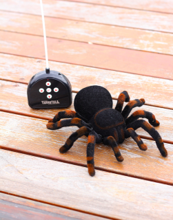 TFY 4503 RC Pavúk TARANTULA 23 x 25 x 7,5 cm RTR 1:1