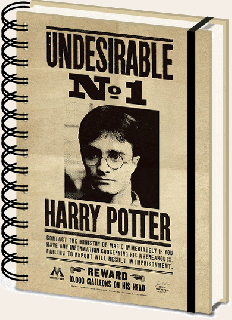 3D Zápisník Harry Potter - Sirius Black & Harry Potter