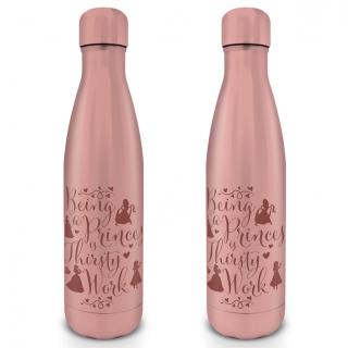 Kovová fľaša na nápoj Disney Princess (Thirsty Work) 550 ml