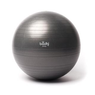 Bodhi FIT lopta na cvičenie Excercise Ball 3 veľkosti Priemer: 65 cm
