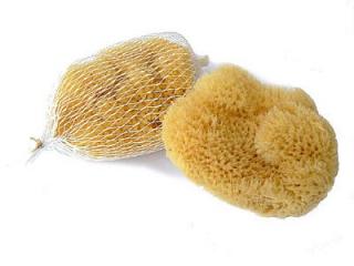Prírodná morská hubka, jemná silk, 6-7 cm