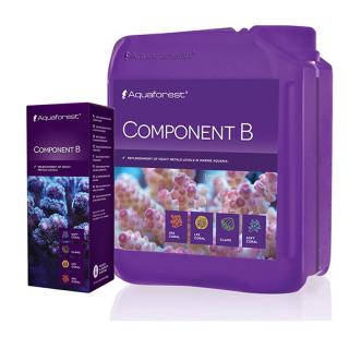Component B ml.: 2000