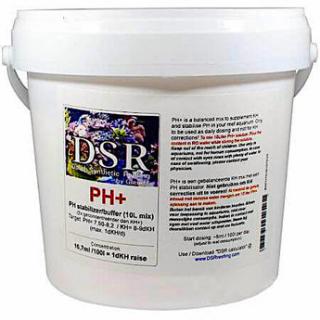 DSR PH+ l: 20