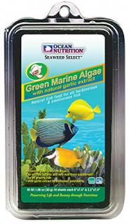 Green marine algae g.: 12