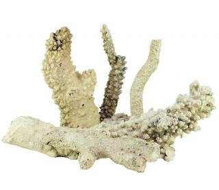 Tonga Branch rocks - prírodný kameň pre morské akvárium