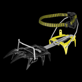SALEWA ALPINIST PRO