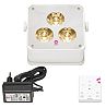 Ape Labs ApeLight Maxi V2 - Set 1 Creme