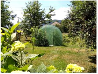 Záhradný fóliovník 2x2m s UV filtrom STANDARD