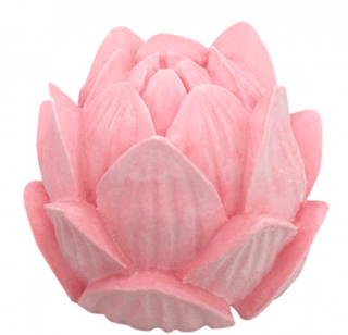 Lotosový kvet 3D