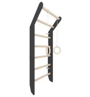 Gymnastický rebrík Toddler Farba: čierna