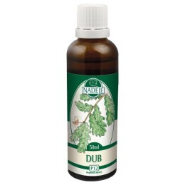 Dub letný - tinktúra z púčikov P12 Objem: 50 ml