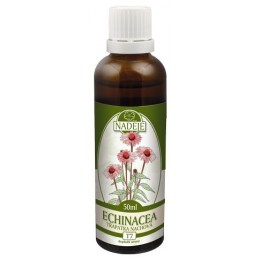 Echinacea - tinktúra z bylín T7 Objem: 50 ml