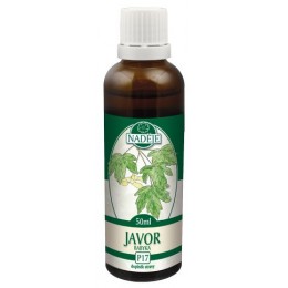 Javor poľný - tinktúra z púčikov P17 Objem: 50 ml