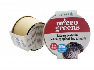 INGREEN Microgreens set 2+2 Kapusta červená 40g