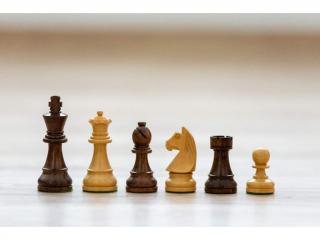 Drevené šachové figúrky Profesionál klasik; náhradné Figúrky: Biely strelec