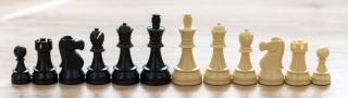 Šachové figúrky DGT veľké; náhradné Figúrky: Biely jazdec