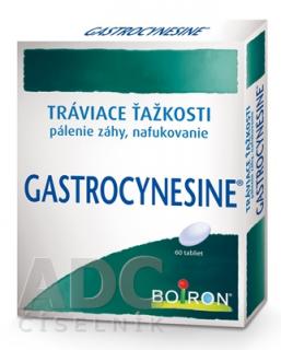 Gastrocynesine 60 tabliet