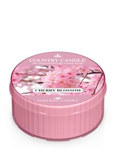COUNTRY CANDLE Cherry Blossom vonná sviečka (35 g)