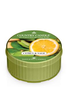 COUNTRY CANDLE Citrus & Sage vonná sviečka (35 g)