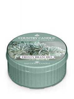 COUNTRY CANDLE Frosty Branches vonná sviečka (35 g)