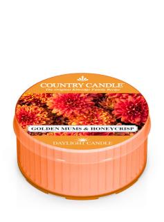 Country Candle Golden Mums & Honey Crisp Tonka vonná sviečka (42 g)