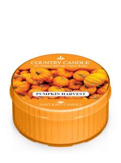 COUNTRY CANDLE Pumpkin Harvest vonná sviečka (35 g)
