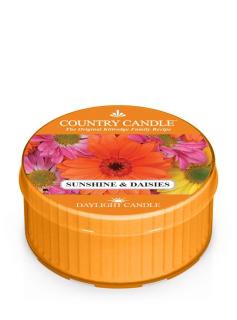 COUNTRY CANDLE Sunshine & Daisies vonná sviečka (35 g)