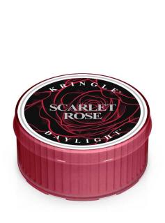 Kringle Candle Scarlet Rose vonná sviečka (35 g)
