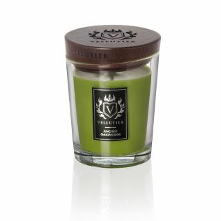 Vellutier Ancient Oakwoods vonná sviečka 225g