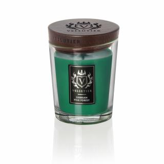 Vellutier Siberian Pine Forest vonná sviečka 225g