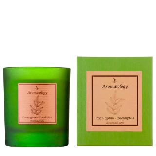 Vila Hermanos Aromathologie Eucalyptus vonná sviečka 200g