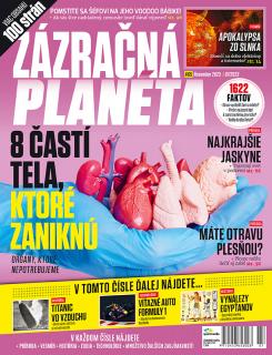 Zázračná planéta 2023/07