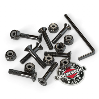INDEPENDENT PRECISION BOLTS 1  IMBUS