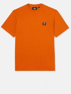Oranžové tričko DICKIES MOUNT VISTA TEE BURNT ORANGE Veľkosť: L, Farba: Oranžová