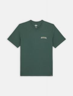 Tričko DICKIES ELLISTON TEE FOREST Veľkosť: XL