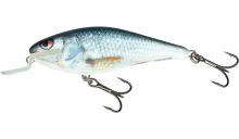 Salmo Executor Shallow Runner 12cm - Floating VARIANT: REAL DACE