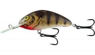 Salmo Hornet 9cm - Floating Farba: Emerald Perch