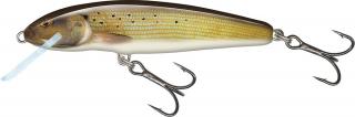 Salmo Minnow 5cm - Floating VARIANT: Grayling