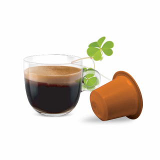 Kapsule Nespresso Bonini Írska káva 10ks