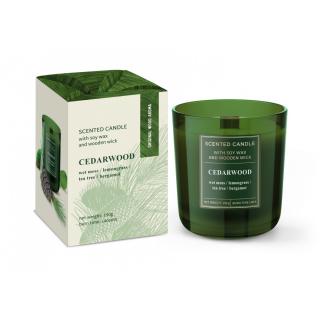 Vonná sviečka CEDARWOOD - 150G