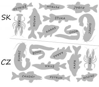 Doplňovačka  Naše ryby  ako stránka - bavlnený panel s plsťou Jazyk: CZ, Materiál: Plsť, Rozmer: 1/3 A3