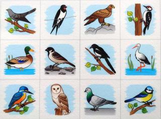 Poznávame prírodu okolo nás - plstený panel Téma: Vtáky/Ptáky