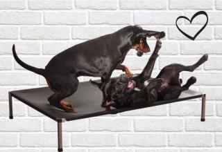 ANADI ležadlo pre psa Veľkosť (cm): M - 52,5 x 77,5 x 15 cm pre psa do 30 kg, Farba poťahu: čierná