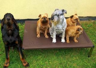 ANADI ležadlo pre psa Veľkosť (cm): XL - 80 x 110 x 24,5 cm pre psa do 60 kg, Farba poťahu: hnedá