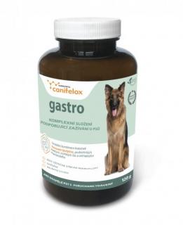 Canifelox Gastro pre psov 120g