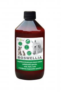 Dromy Boswellia liquid 1000ml