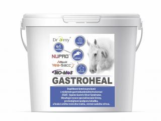 Dromy Gastroheal pre kone s výskytom gastroduodenálnych ulcerácií 6000 g